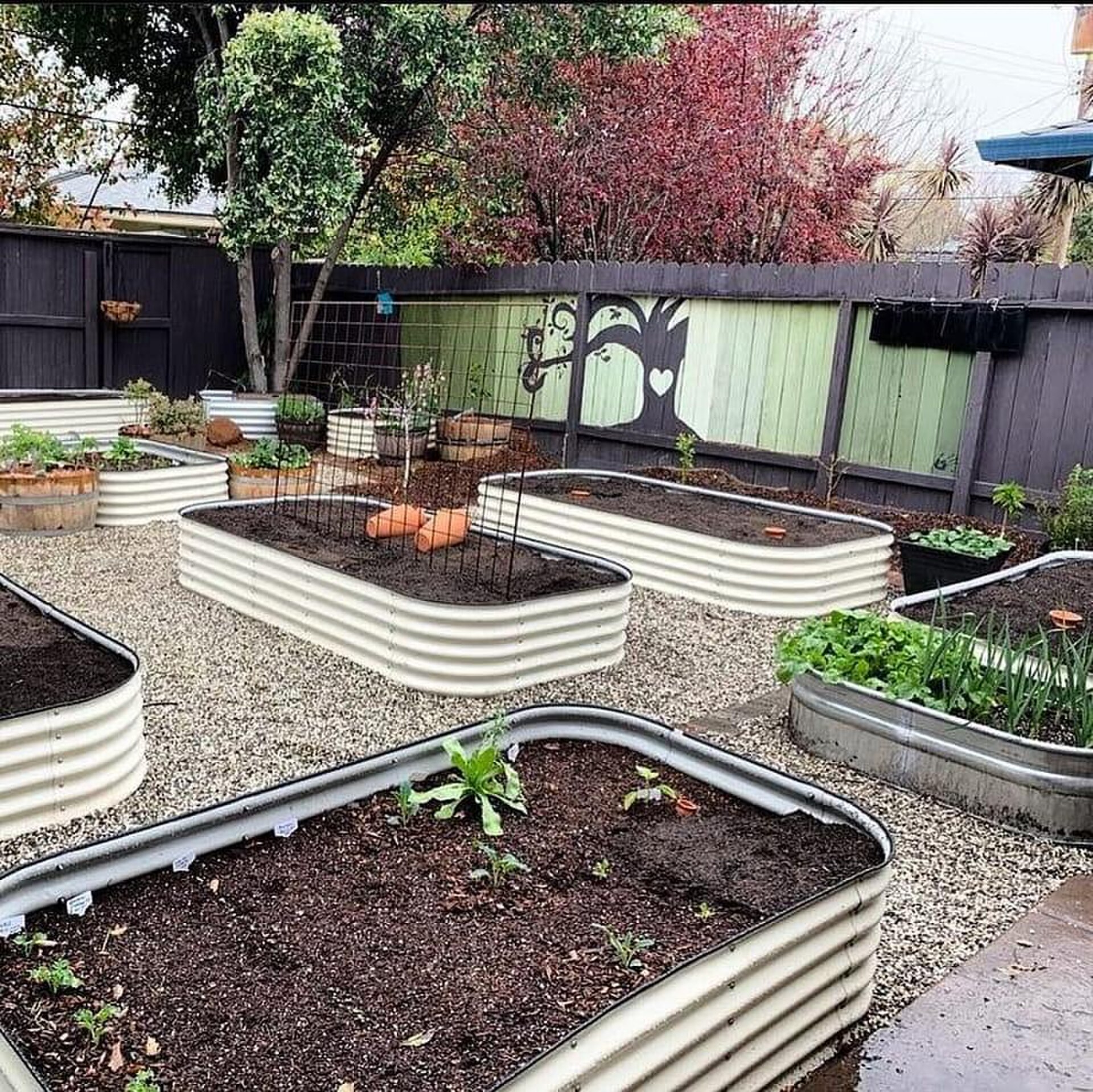 Starting a First Garden: A Beginner-Friendly Explanation