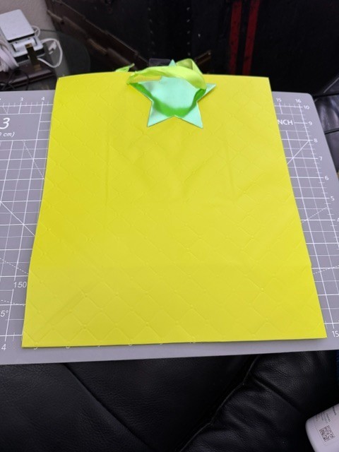 Paper Craft Embossed Lime Green Gift Bag 12"x10" Party Supply New