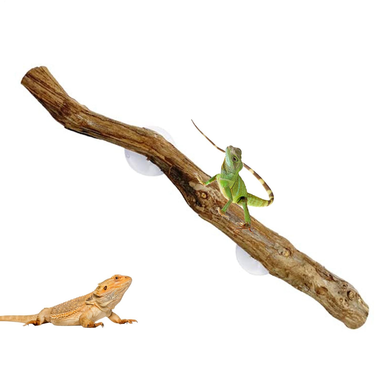 Wood Reptile Corner Branch Terrarium Decoration Wood Branch with Suction Cup