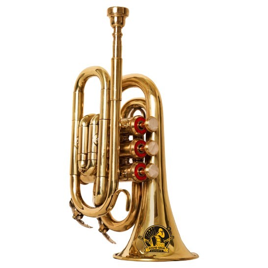 SOUND SAGA® Pocket Trumpet With All Accessories Including Mouthpiece & Case