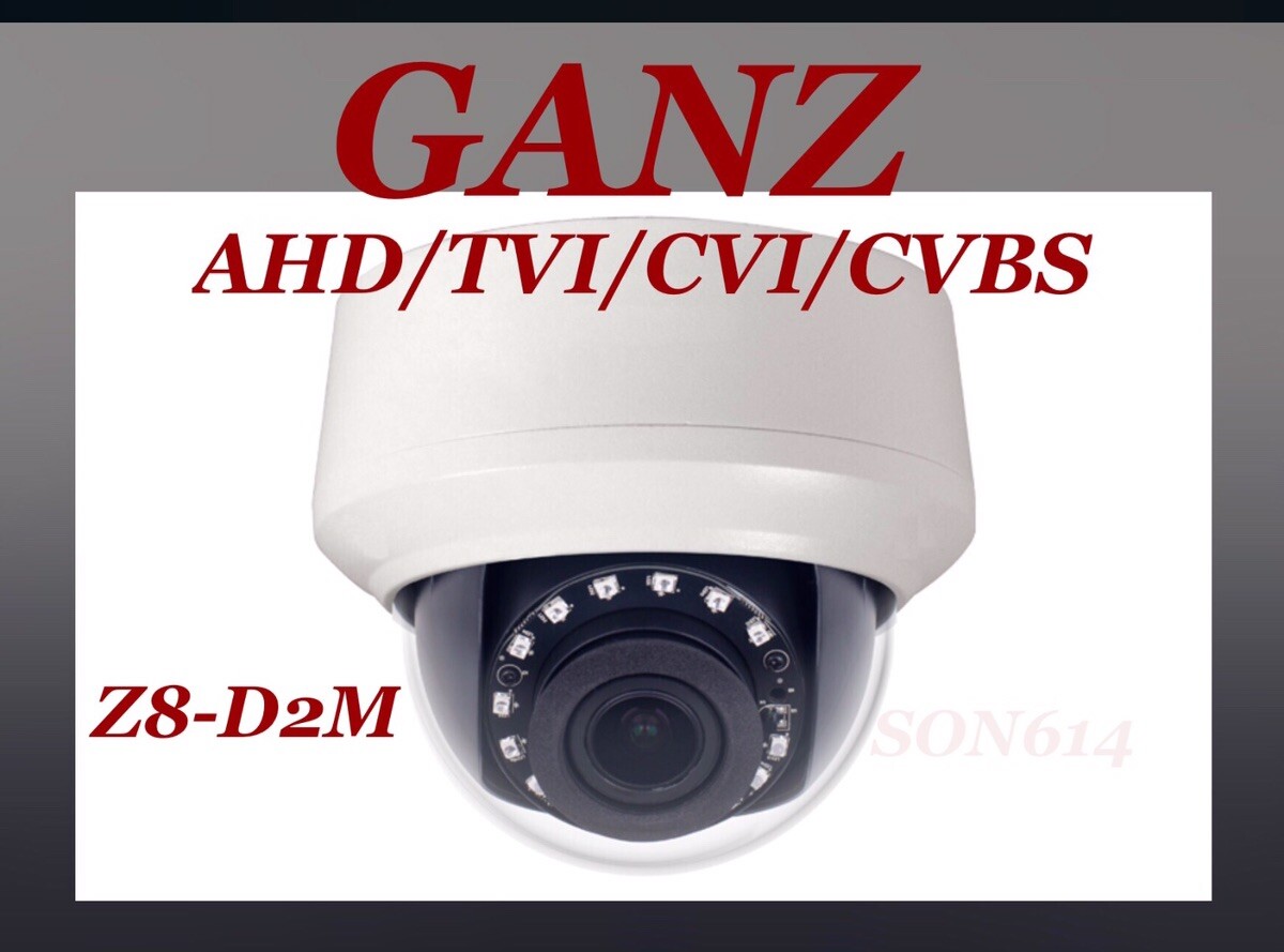 Ganz Z8-D2M Security Color Camera W/ 2.8-12mm Motorized Lens 2MP Day/Night NEW