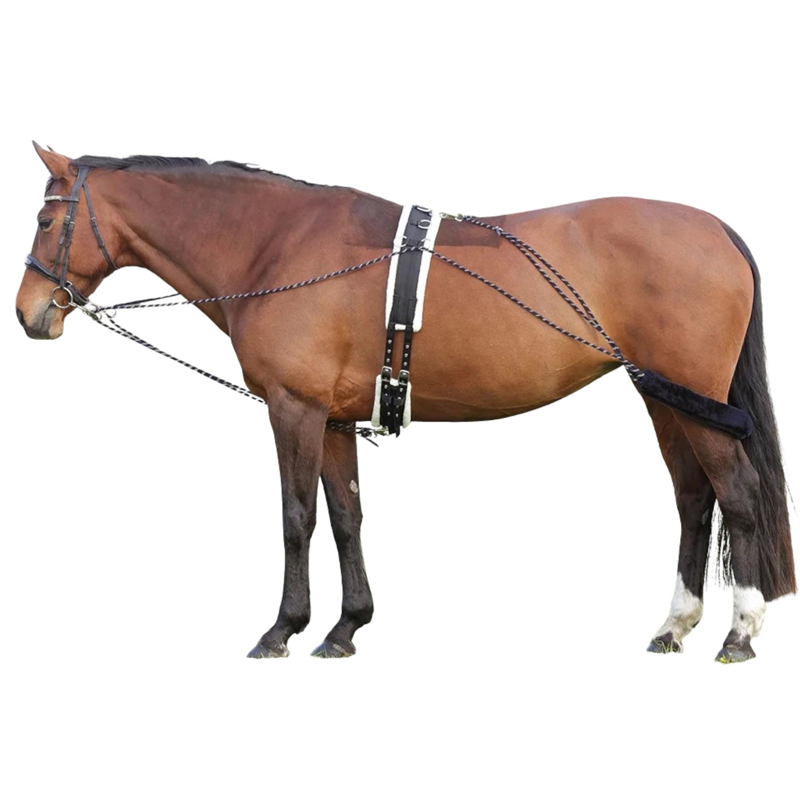 Lunging Aid for Horses Compatible with Pessoa Training System