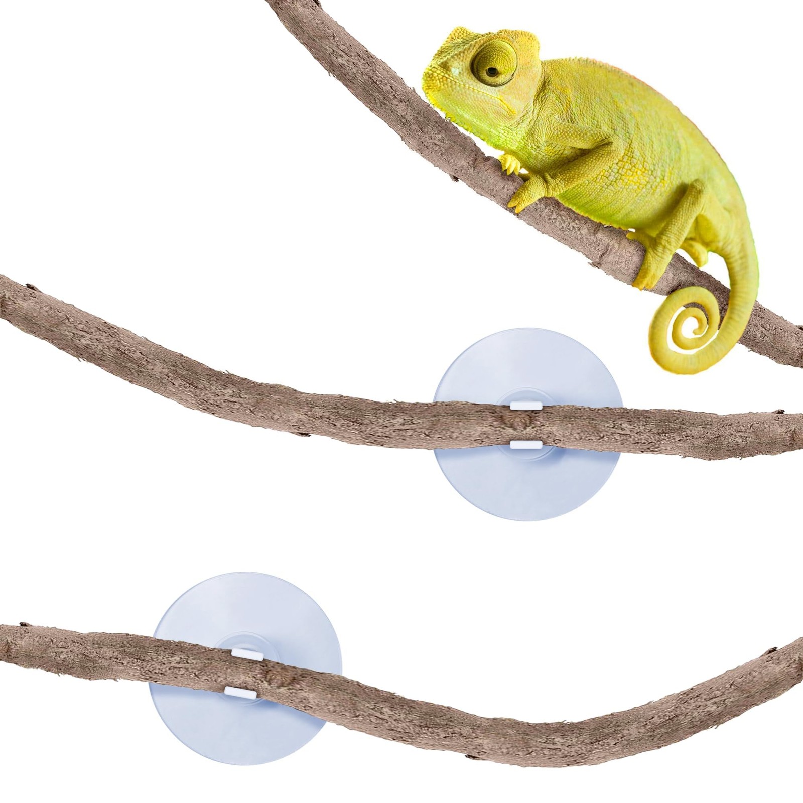 6 ft Reptile Vine Terrarium Climber Flexible Bendable Decor for Gecko Chameleon
